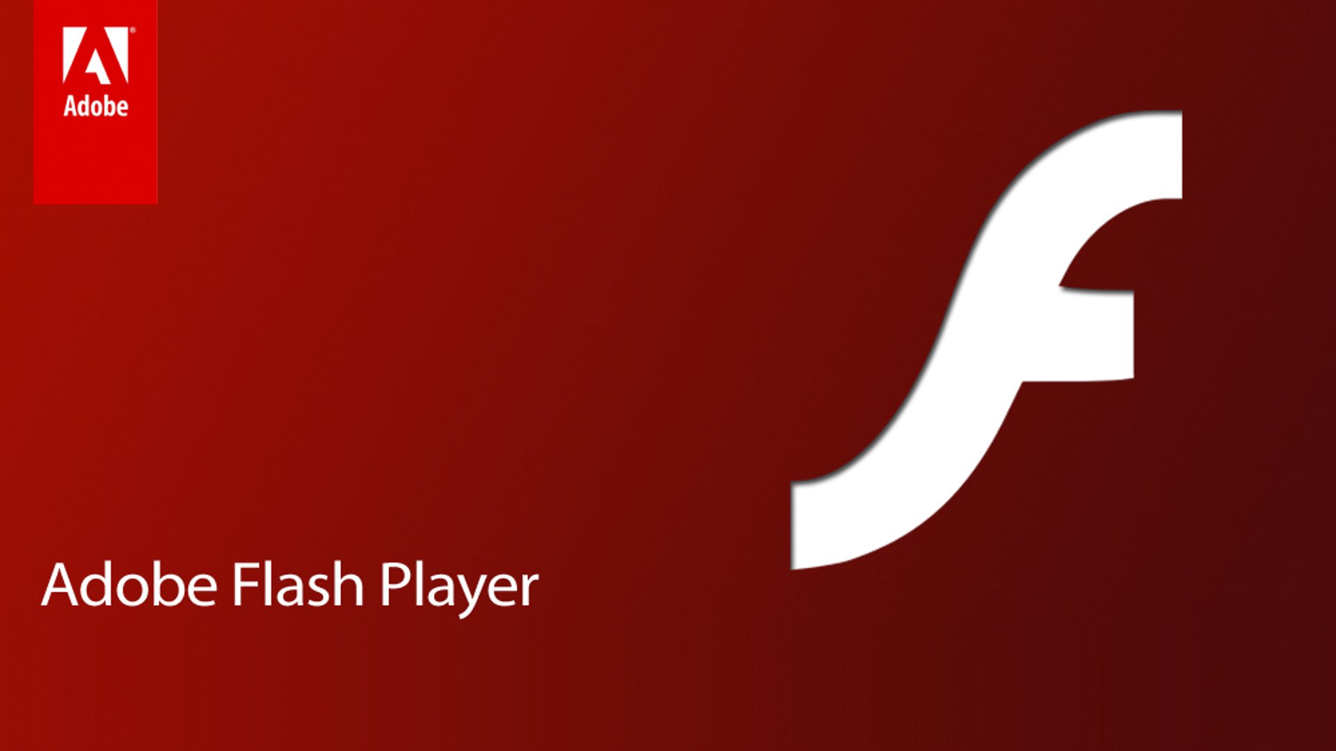 Adobe flash player для всех версий windows