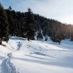 snowscene4.jpg